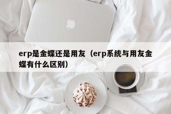 erp是金蝶还是用友（erp系统与用友金蝶有什么区别）