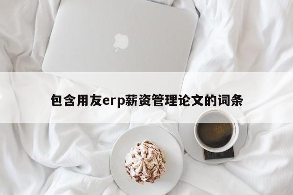 包含用友erp薪资管理论文的词条