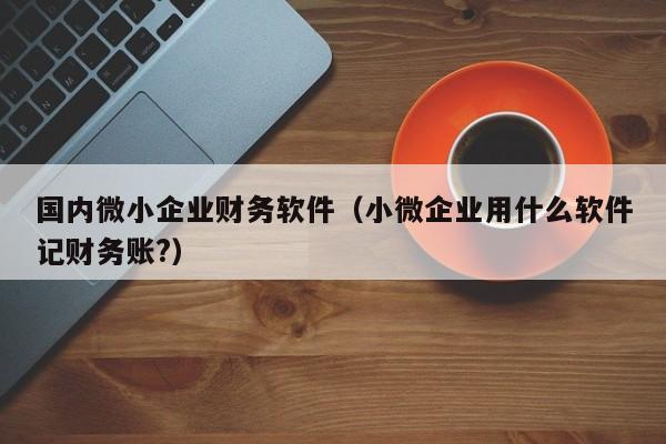 国内微小企业财务软件（小微企业用什么软件记财务账?）