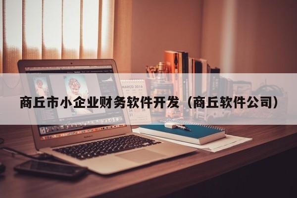 商丘市小企业财务软件开发（商丘软件公司）