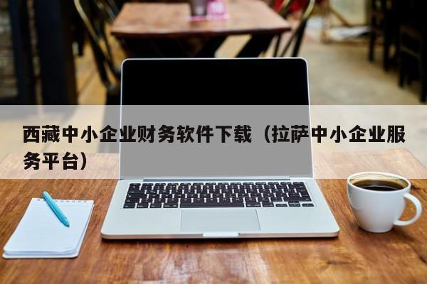 西藏中小企业财务软件下载（拉萨中小企业服务平台）