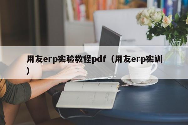 用友erp实验教程pdf（用友erp实训）