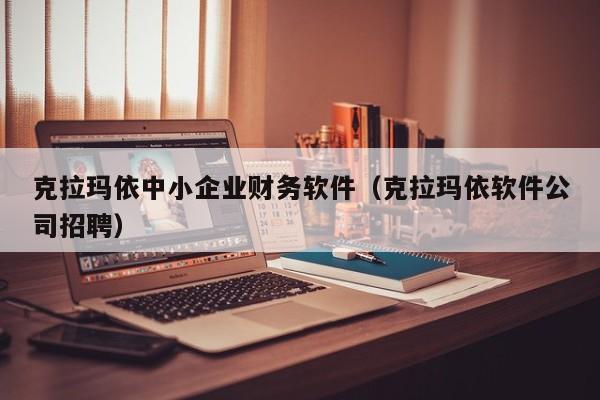 克拉玛依中小企业财务软件（克拉玛依软件公司招聘）