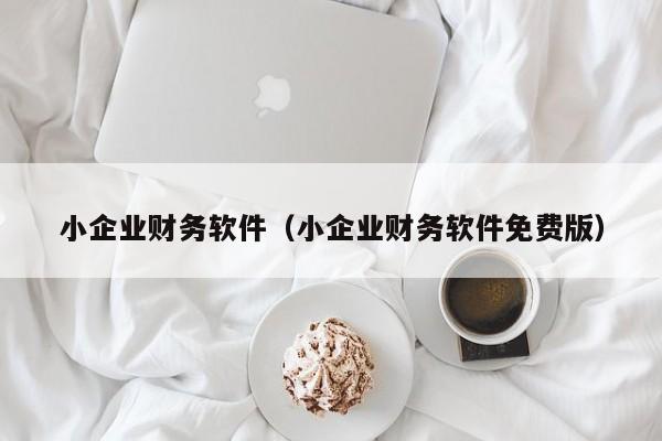 小企业财务软件（小企业财务软件免费版）