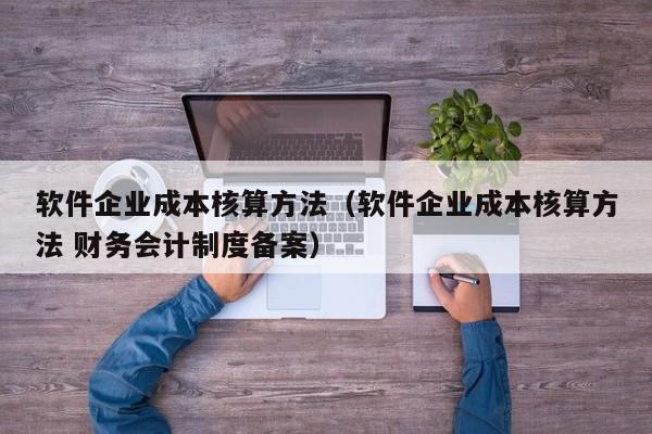 软件企业成本核算方法（软件企业成本核算方法 财务会计制度备案）