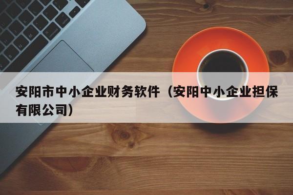 安阳市中小企业财务软件（安阳中小企业担保有限公司）