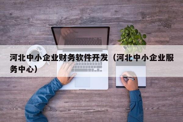 河北中小企业财务软件开发（河北中小企业服务中心）