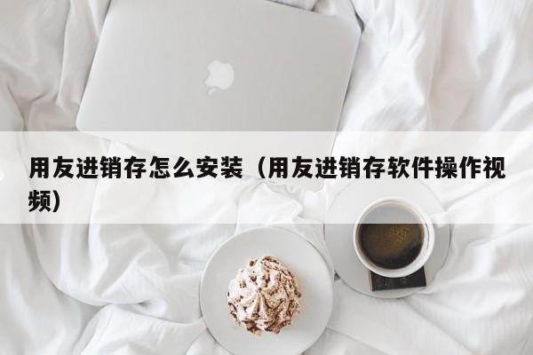 用友进销存怎么安装（用友进销存软件操作视频）