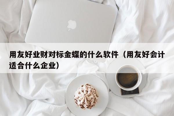 用友好业财对标金蝶的什么软件（用友好会计适合什么企业）