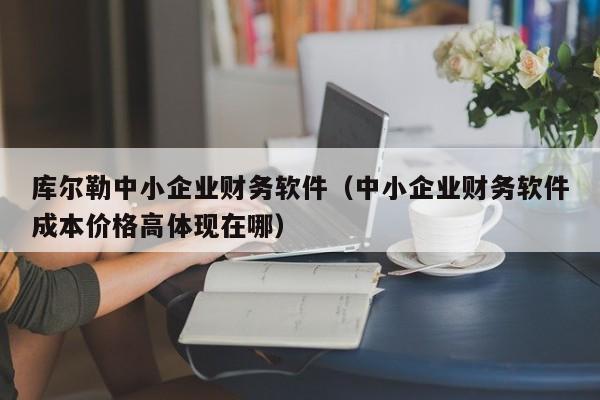 库尔勒中小企业财务软件（中小企业财务软件成本价格高体现在哪）