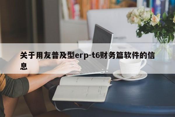 关于用友普及型erp-t6财务篇软件的信息