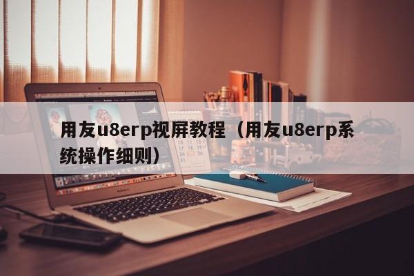 用友u8erp视屏教程（用友u8erp系统操作细则）