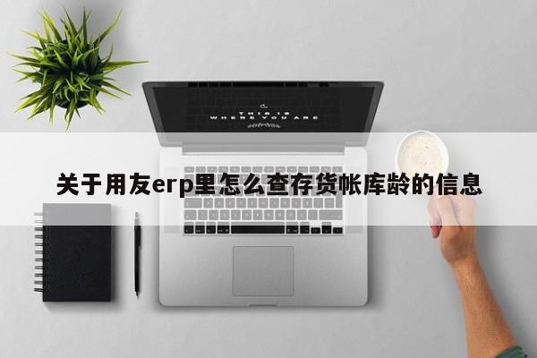 关于用友erp里怎么查存货帐库龄的信息