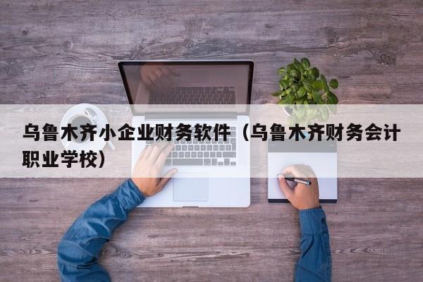 乌鲁木齐小企业财务软件（乌鲁木齐财务会计职业学校）