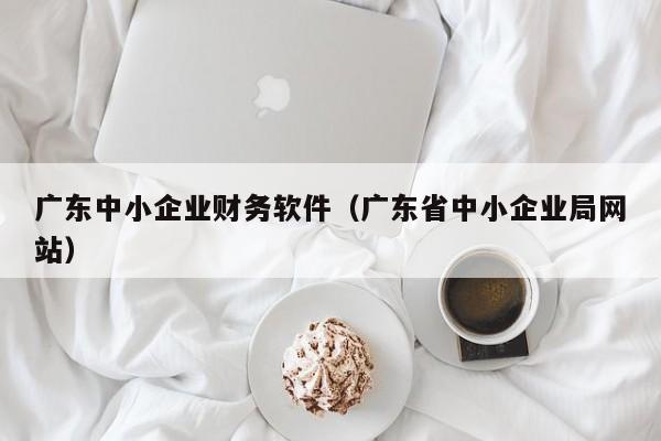 广东中小企业财务软件（广东省中小企业局网站）