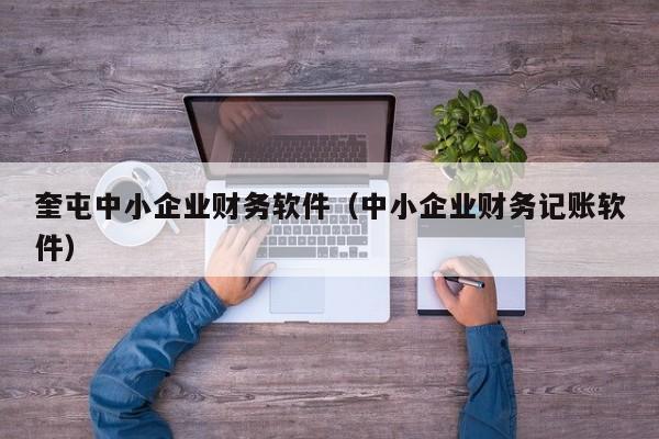 奎屯中小企业财务软件（中小企业财务记账软件）