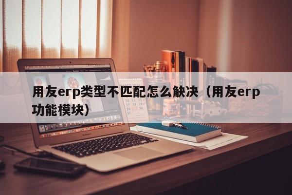 用友erp类型不匹配怎么觖决（用友erp功能模块）