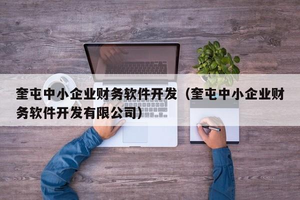 奎屯中小企业财务软件开发（奎屯中小企业财务软件开发有限公司）