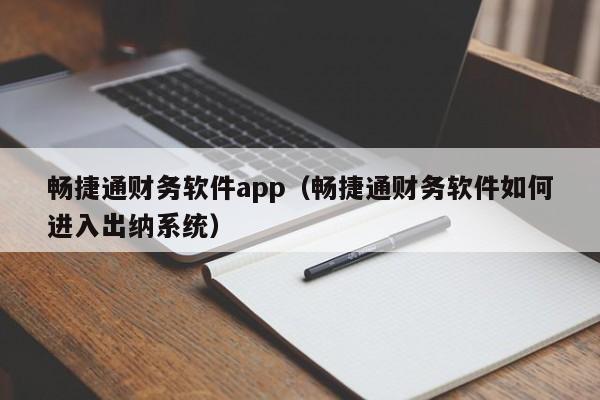 畅捷通财务软件app（畅捷通财务软件如何进入出纳系统）