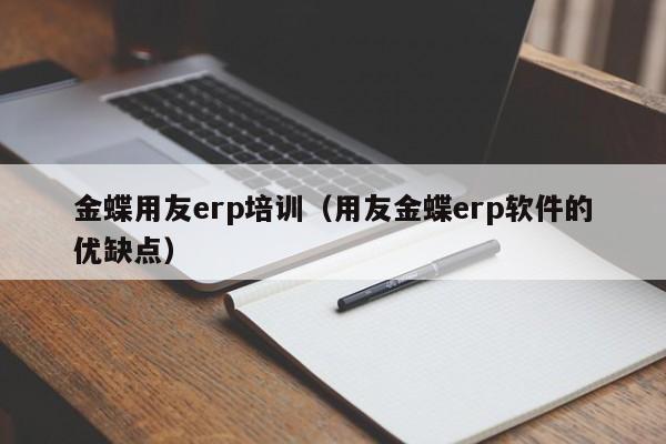 金蝶用友erp培训（用友金蝶erp软件的优缺点）