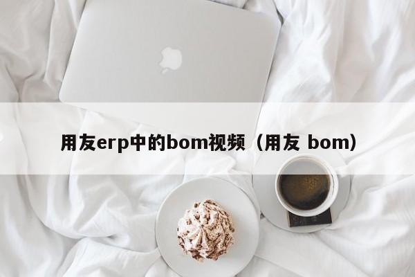 用友erp中的bom视频（用友 bom）