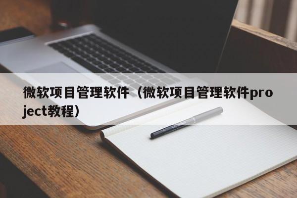 微软项目管理软件（微软项目管理软件project教程）