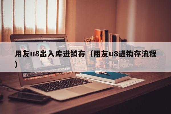 用友u8出入库进销存（用友u8进销存流程）