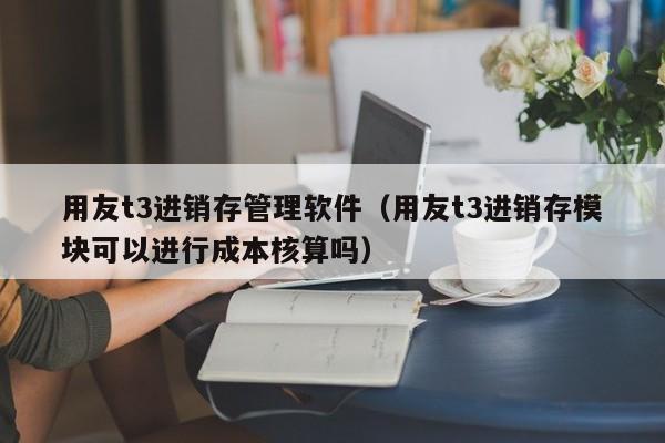 用友t3进销存管理软件（用友t3进销存模块可以进行成本核算吗）