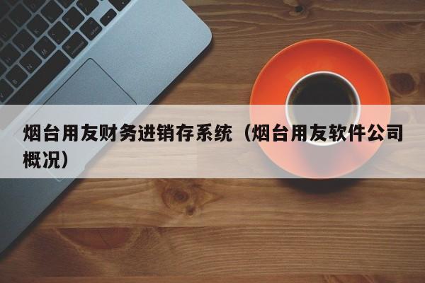 烟台用友财务进销存系统（烟台用友软件公司概况）