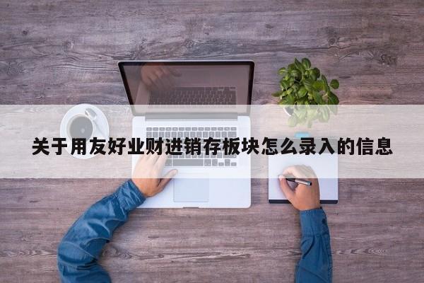 关于用友好业财进销存板块怎么录入的信息