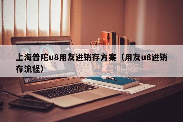 上海普陀u8用友进销存方案（用友u8进销存流程）