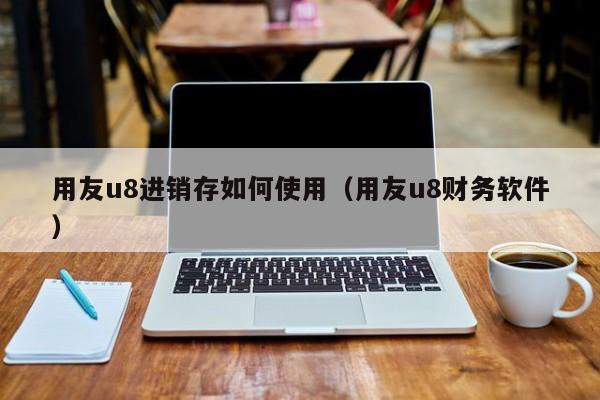 用友u8进销存如何使用（用友u8财务软件）