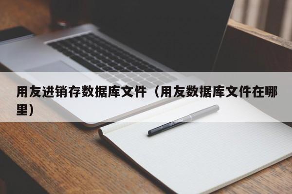 用友进销存数据库文件（用友数据库文件在哪里）