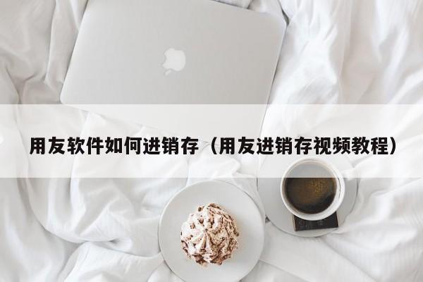 用友软件如何进销存（用友进销存视频教程）