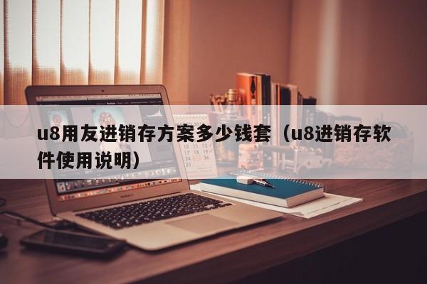 u8用友进销存方案多少钱套（u8进销存软件使用说明）