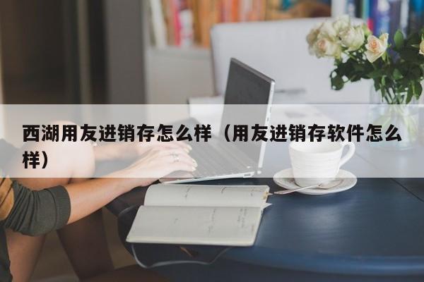 西湖用友进销存怎么样（用友进销存软件怎么样）