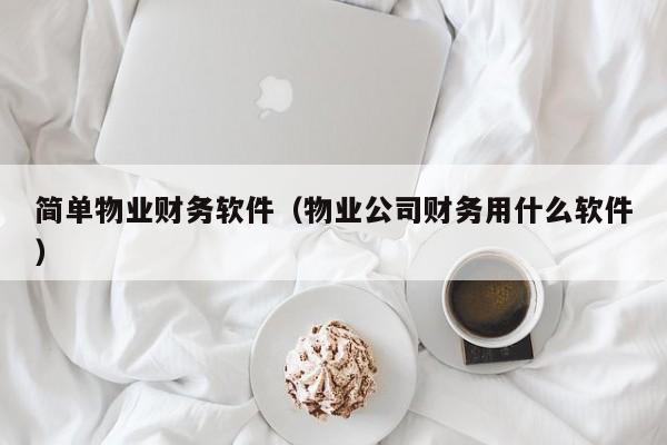 简单物业财务软件（物业公司财务用什么软件）