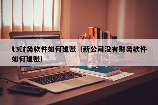 t3财务软件如何建账（新公司没有财务软件如何建账）