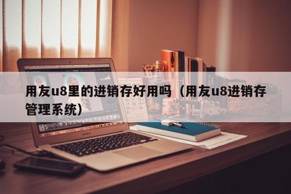 用友u8里的进销存好用吗（用友u8进销存管理系统）