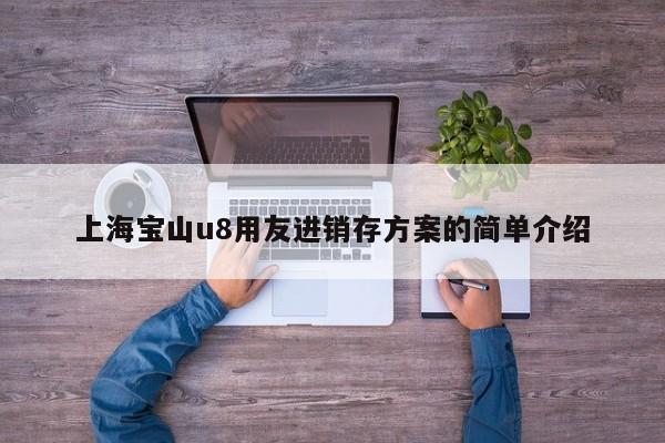 上海宝山u8用友进销存方案的简单介绍