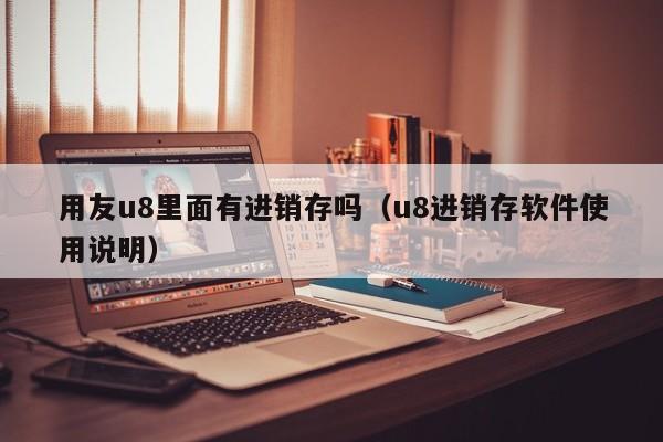 用友u8里面有进销存吗（u8进销存软件使用说明）