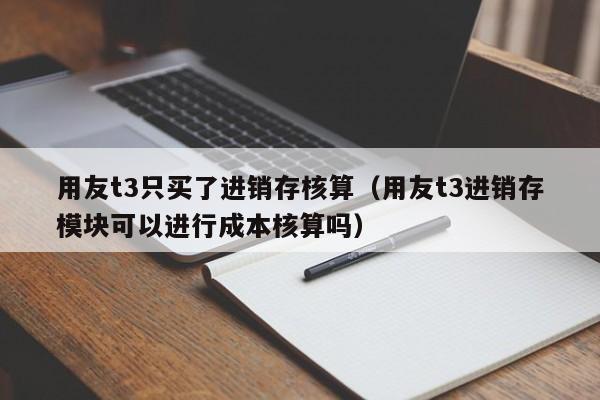 用友t3只买了进销存核算（用友t3进销存模块可以进行成本核算吗）