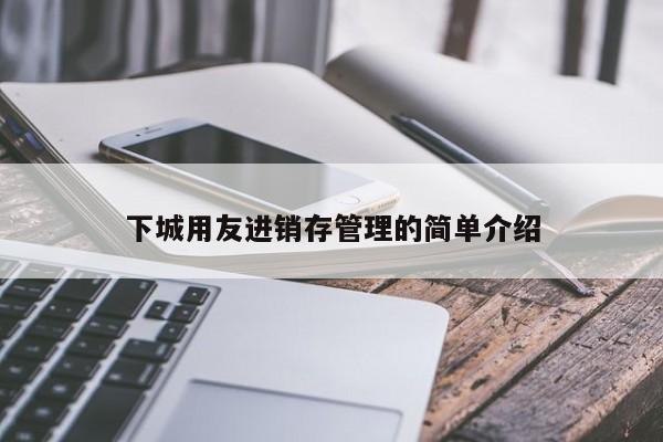 下城用友进销存管理的简单介绍