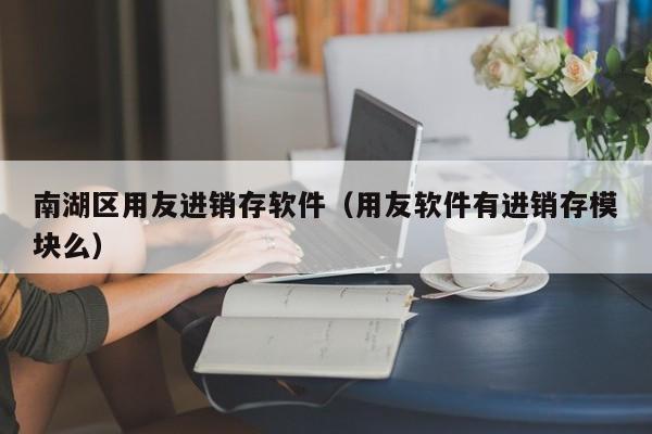 南湖区用友进销存软件（用友软件有进销存模块么）