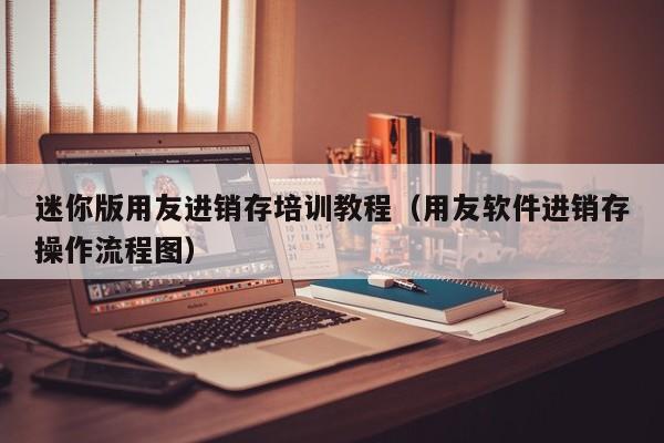 迷你版用友进销存培训教程（用友软件进销存操作流程图）