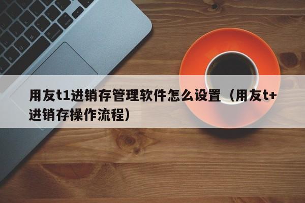 用友t1进销存管理软件怎么设置（用友t+进销存操作流程）