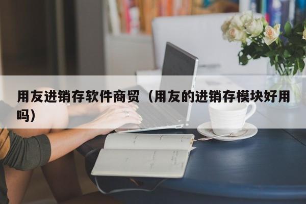 用友进销存软件商贸（用友的进销存模块好用吗）