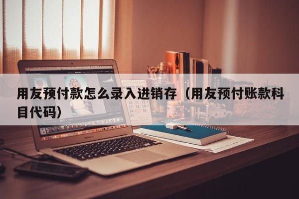 用友预付款怎么录入进销存（用友预付账款科目代码）