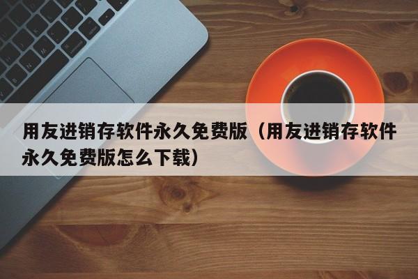 用友进销存软件永久免费版（用友进销存软件永久免费版怎么下载）