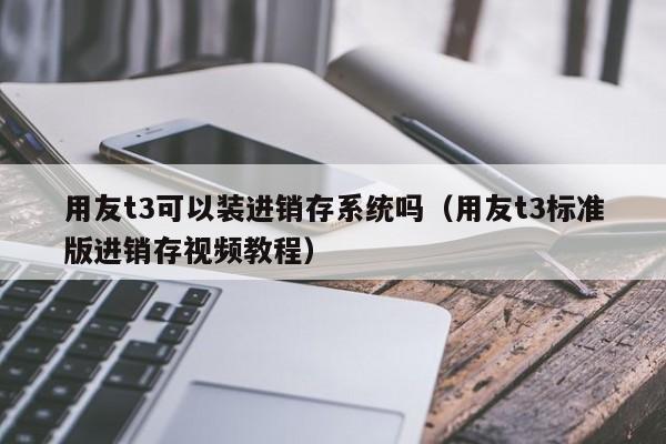 用友t3可以装进销存系统吗（用友t3标准版进销存视频教程）